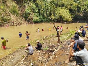 Tradisi Tangkap Ikan Pakai Tangan Kosong yang Unik di Ciamis