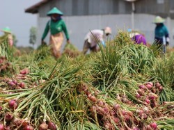 Kementan Sebut PDB Pertanian Naik Pesat, Ini Indikatornya