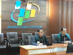 Pakai Metode Baru, BPS Catat Luas Baku Sawah Turun Jadi 7,1 Juta Ha