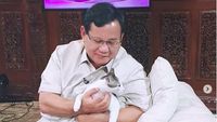 Menteri Pertahanan Prabowo dan Kucing-kucingnya