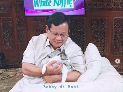 Menteri Pertahanan Prabowo dan Kucing-kucingnya