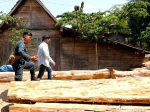 Illegal Logging Terbesar se-Jawa Dibongkar, Berasal dari 20 KPH