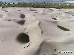 China Bangun Taman di Tengah Padang Gurun