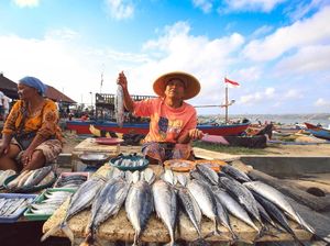 Wilayah Perairan Ini Jadi Penghasil Ikan Terbesar di Indonesia Wilayah Perairan Ini Jadi Penghasil Ikan Terbesar di Indonesia