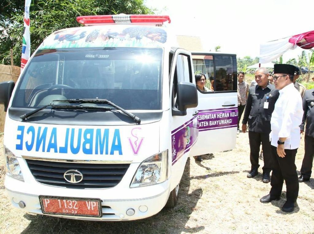 Di Banyuwangi, Ada Ambulans Khusus Hewan Peliharaan dan Ternak Di Banyuwangi, Ada Ambulans Khusus Hewan Peliharaan dan Ternak