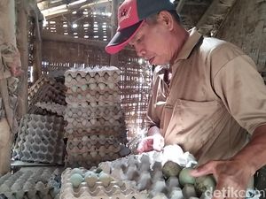 Curhat Seorang Sontoloyo: Kami Bukan Orang Sembarangan