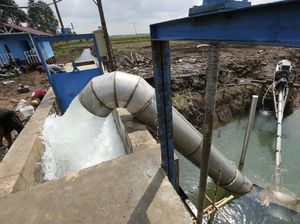 Polder Mini Kementan Solusi Pengelolaan Air di Lahan Rawa