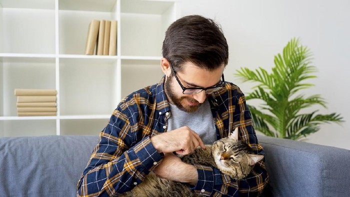 Baru-baru ini beredar sebuah video masak dengan materi yang agak nyeleneh: kuliner lembap kucing.  Foto: iStock