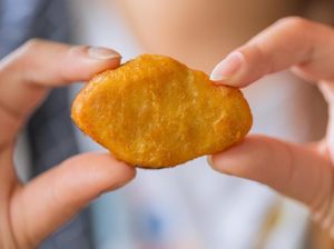 Paling Baru! Chicken Nugget Kini Bisa Dibuat Dari Bulu Ayam