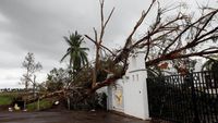 Rumah Rusak-Pohon Tumbang, Begini Dampak Badai Willa di Meksiko