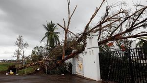 Rumah Rusak-Pohon Tumbang, Begini Dampak Badai Willa di Meksiko