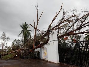 Rumah Rusak-Pohon Tumbang, Begini Dampak Badai Willa di Meksiko