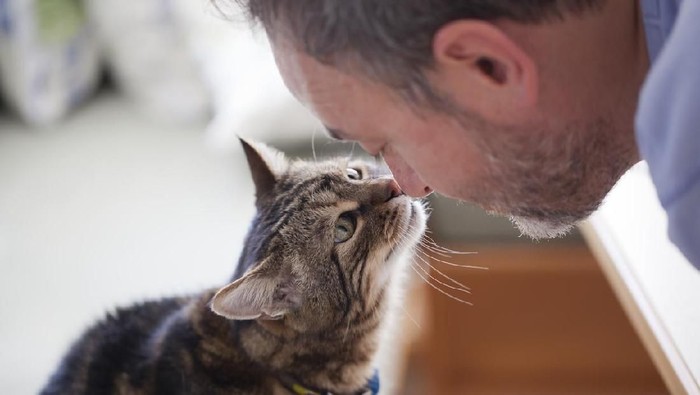 Daripada Makan Masakan Kucing Di Tanggal Tua, Coba Tips Dari Jago Gizi