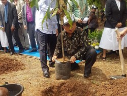 Ini Cara DPD RI Wujudkan Hutan Lestari