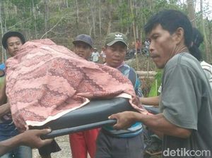 Gali Parit, Warga Kebumen Tewas Tertimbun Tanah Gali Parit, Warga Kebumen Tewas Tertimbun Tanah