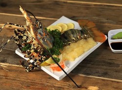 Ini 5 Jenis Lobster Unggulan yang Super Enak