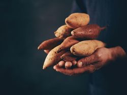 5 Manfaat Ubi Jalar untuk Kesehatan Tubuh