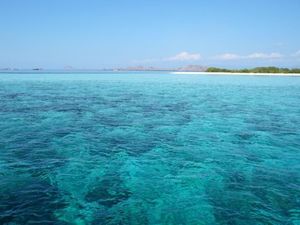 Jelajah Labuan Bajo, Ketemu Komodo & Main ke Pantai Pink