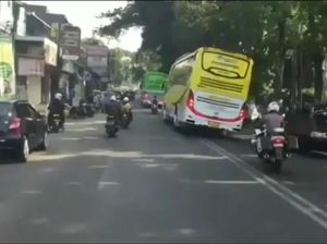 Ketemu Sopir Bus Ugal-ugalan, Ini yang Harus Dilakukan