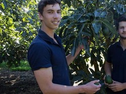 Dua Milennial Australia Menggeruk Uang dari Jualan Alpukat