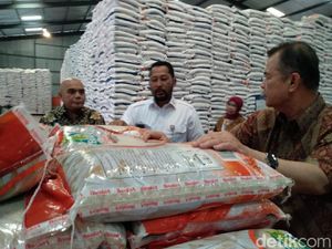 Soal Prediksi Surplus Beras 2,8 Juta Ton, Buwas: Kita Tak Perlu Impor