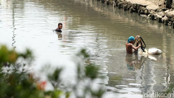 Kisah Para Pencari Cacing Sutra, Memancing Rezeki di Kali Ibukota