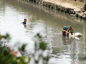 Kisah Para Pencari Cacing Sutra, Memancing Rezeki di Kali Ibukota Kisah Para Pencari Cacing Sutra, Memancing Rezeki di Kali Ibukota