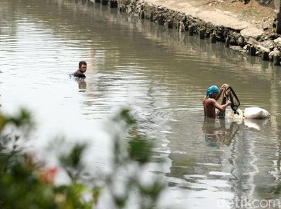 Kisah Para Pencari Cacing Sutra, Memancing Rezeki di Kali Ibukota