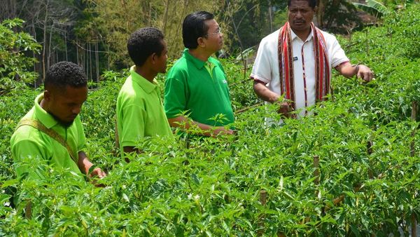 Pameran Pertanian di Desa Biloto, NTT