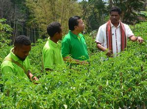 Pameran Pertanian di Desa Biloto, NTT