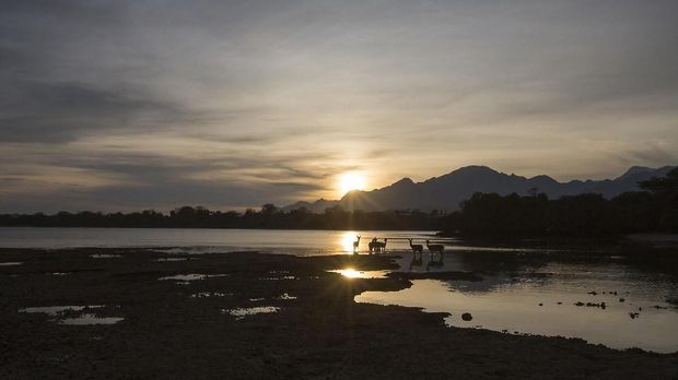 6 Tips Aman Bertualang di Taman Nasional