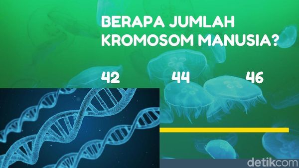 Tes Zaman Sekolah, yang Benar Semua Tandanya Murid Teladan