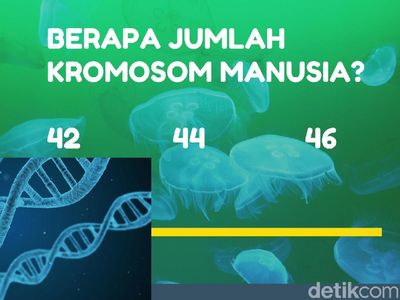 Tes Zaman Sekolah, yang Benar Semua Tandanya Murid Teladan