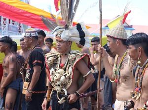 Seni Budaya Khas Dayak Ini Ditetapkan Jadi Warisan Budaya Tak Benda