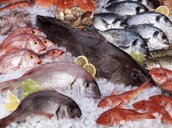 Sebelum Beli Ikan, Kenali 5 Tanda Penting Ikan Segar Ini