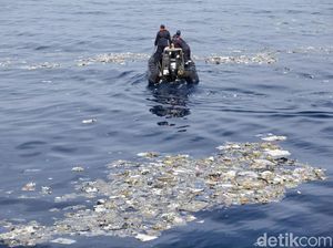 Basarnas Fokus Evakuasi Korban, Tak Buru-buru Angkat Bodi Lion Air
