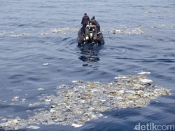 Penyelam Kembali Cari Korban Jatuhnya Lion Air JT 610 Pagi Ini