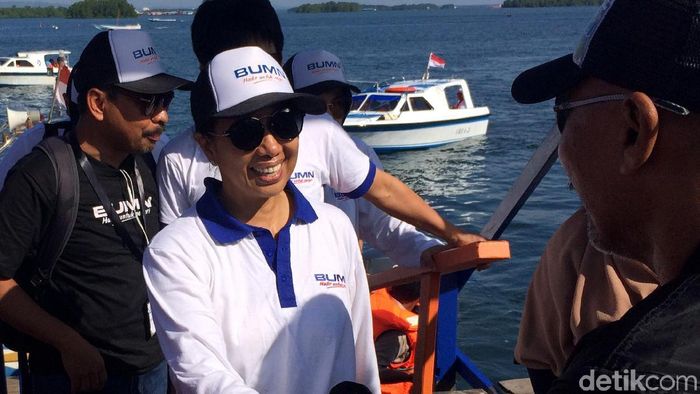 Menteri Rini Sasaran Bentuk 8 Holding Bumn, Yang Diproses Gres 2