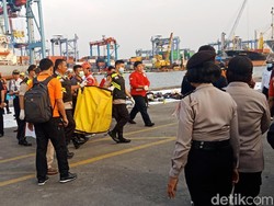 Video: 6 Kantong Jenazah Korban Pesawat Lion Air Tiba di JICT