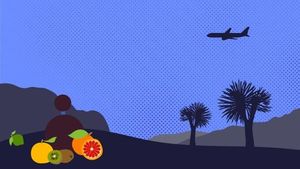 Foto: Aneka Parfum Kabin Pesawat di Berbagai Negara