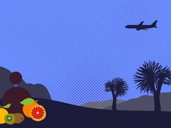 CEO Resign-Gaji Pegawai Belum Dibayar, Maskapai India Ini Hampir Bangkrut