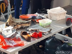 Sepasang Sepatu Bayi Ikut Dievakuasi Tim Pencari Lion Air JT 610
