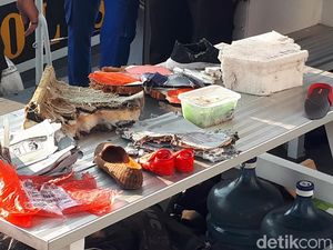 Sepasang Sepatu Bayi Ikut Dievakuasi Tim Pencari Lion Air JT 610 Sepasang Sepatu Bayi Ikut Dievakuasi Tim Pencari Lion Air JT 610