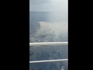 Begini Bentuk Serpihan Pesawat Lion Air JT 610 yang Jatuh