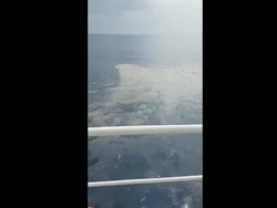 Begini Bentuk Serpihan Pesawat Lion Air JT 610 yang Jatuh