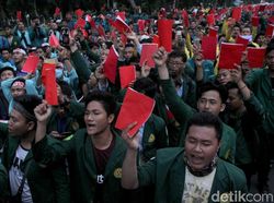 Jadi Duta Corona, Peserta Lulus SNMPTN Sosialisasikan Materi Lewat Medsos