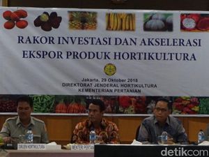 Amran Kumpulkan Pejabat dan Pengusaha Bahas Percepatan Ekspor