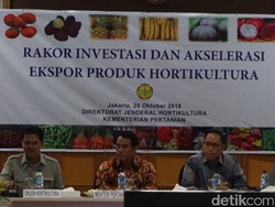 Amran Kumpulkan Pejabat dan Pengusaha Bahas Percepatan Ekspor