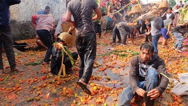 Keseruan Rempug Tarung Adu Tomat di Bandung Mirip Festival La Tomatina Spanyol