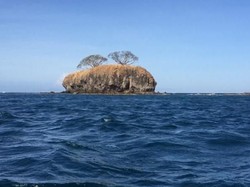 Legenda Pulau Ular Bima yang Konon Dihuni Ular-ular Jelmaan Manusia